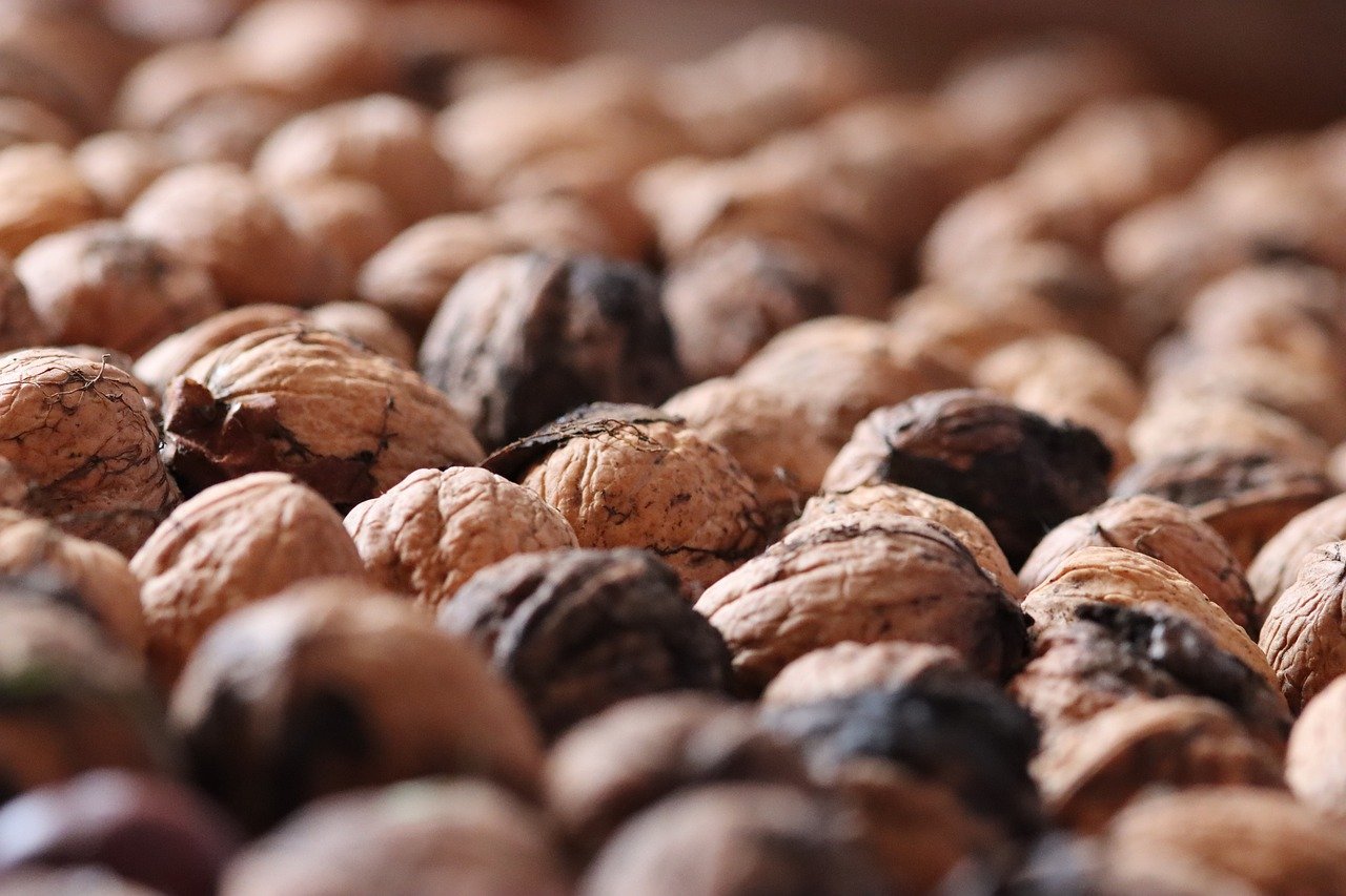 瑞安注册代理会计要求什么