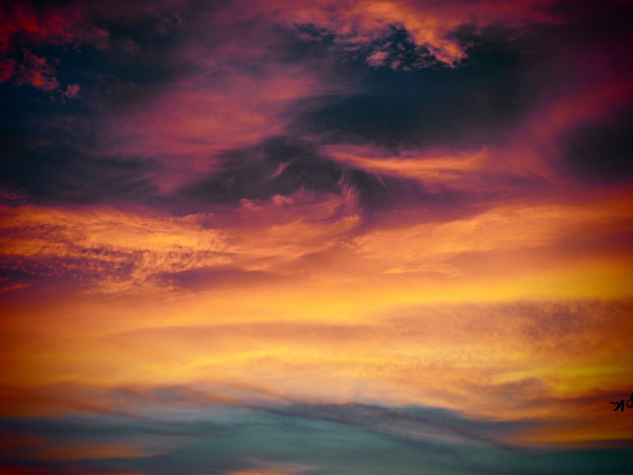 梦幻逍遥：温德姆app详情下载教程