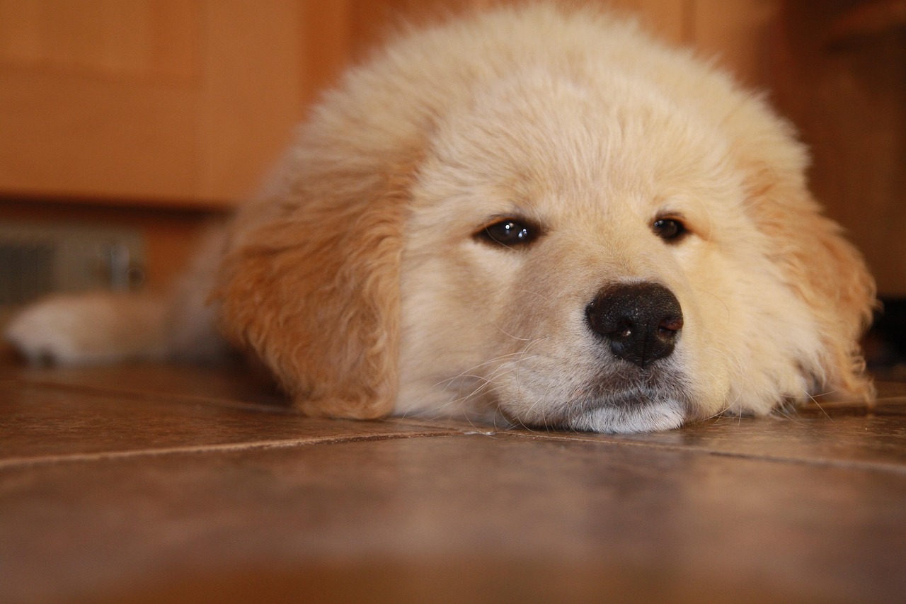 国内微信号：建材代理平台