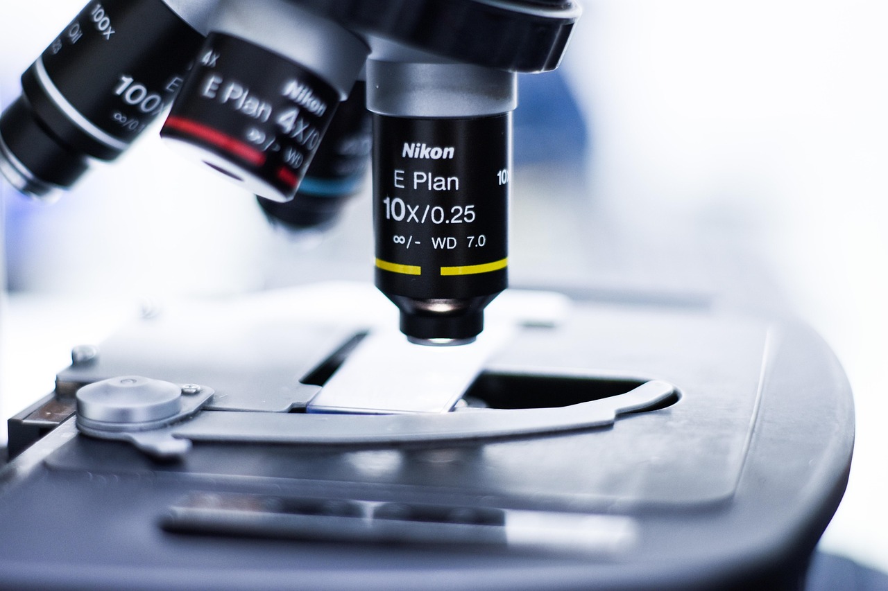 实名抖音号买卖:东莞国内货物运输代理平台