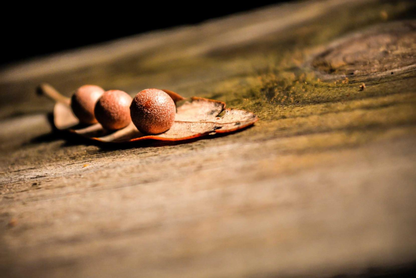 丽水内资公司注册代理