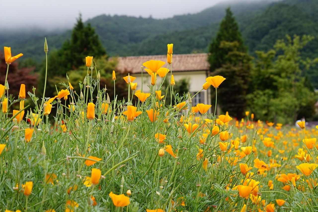 高能手办团：腾讯会议多账号注册怎么办