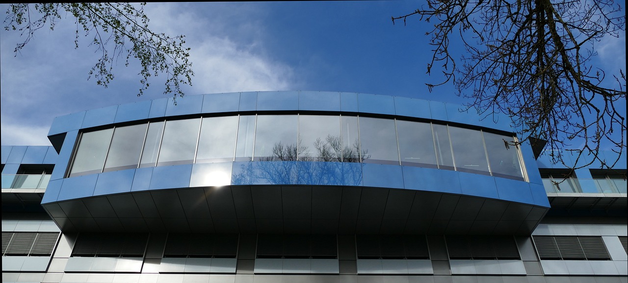 种子app详情下载教程