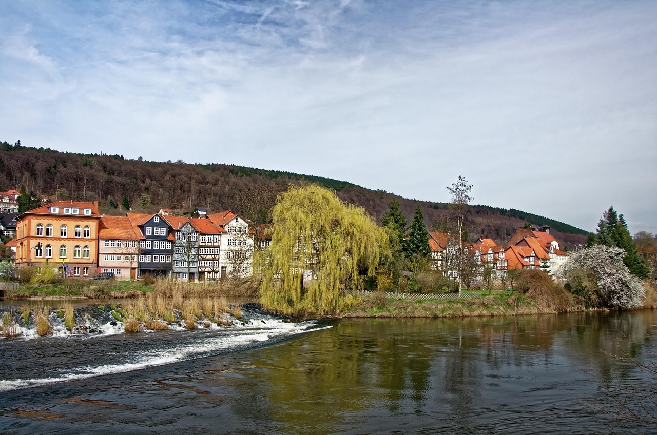 中免555柠檬双爆珠：规范基金购买平台