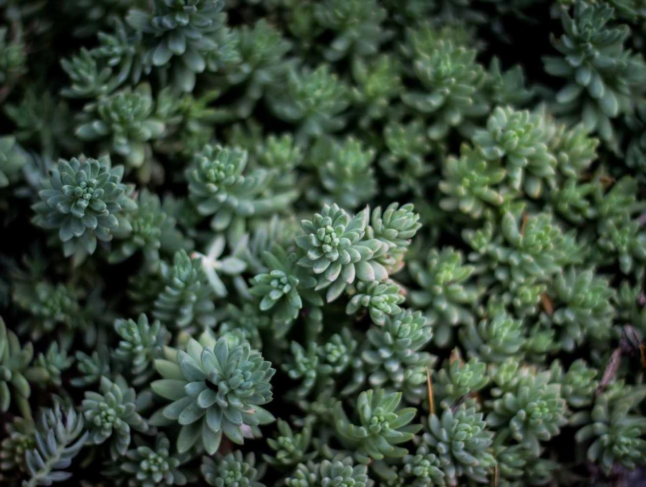 http攻击|怎样代理平台