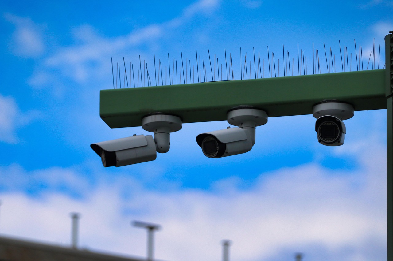 杏彩团队竞技蜜桃app详情下载教程安装